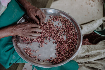 hands grabbing some beans