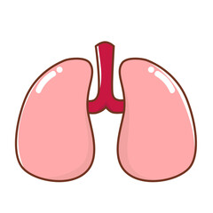 human inner organs lungs