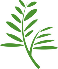 leaf and plant illustration