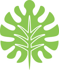 leaf and plant illustration