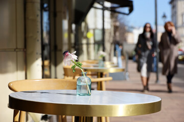 Street cafe in city with empty tables outdoor on walking people background. Flowers on round tables in sunny day