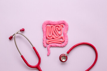 Human intestines colon organ shape. Digestive tract problems colitis or colon cancer