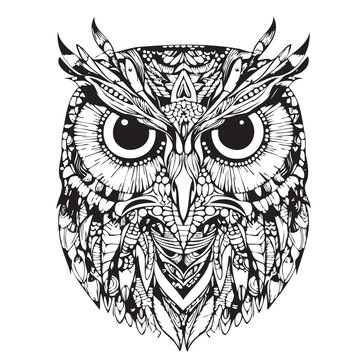 Owl head cartoon hand drawn sketch in doodle style illustration