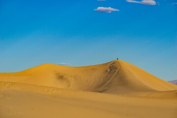 Fototapeta na wymiar Sunny view of the beautiful Mesquite Flat Dunes