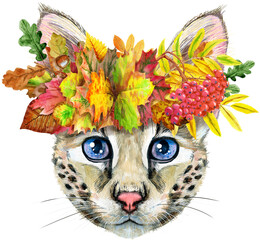 Cute cat in a wreath of autumn leaves. Cat for t-shirt graphics. Watercolor Savannah cat illustration