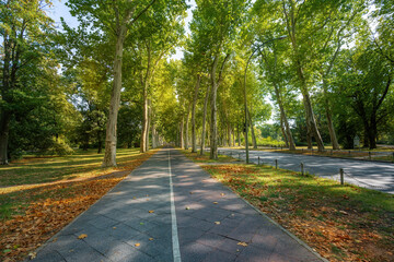 Treptower Park - Berlin, Germany