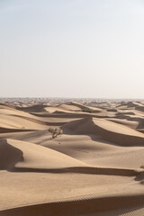 south part of Tunisia is full of suprises