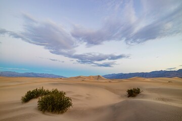 Fototapeta na wymiar Sunny view of the beautiful Mesquite Flat Dunes