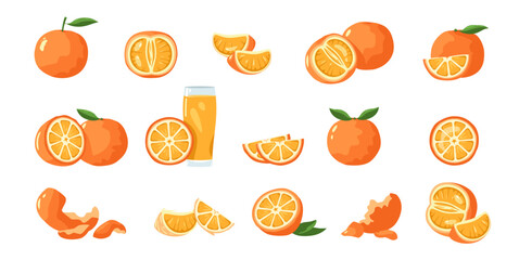 Orange fruit. Tropical tangerine and clementine slices, healthy whole mandarin and tangerine pieces and skin cartoon flat collection. Vector isolated set