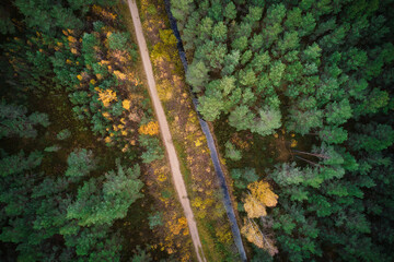 Aerial full frame view from drone of idyllic country road leading through gallant pine and birch forests in dark green colors in cloudy rainy weather 
