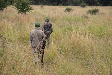 Ranger in animal conservation park in Zimbabwe, in Imire Rhino & Wildlife Conservancy