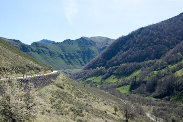 Green landscape in the Cantabrian Mountains.