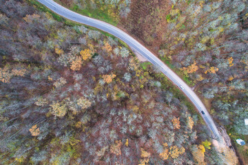 Aerial full frame view from drone of idyllic country road leading through gallant pine and birch...