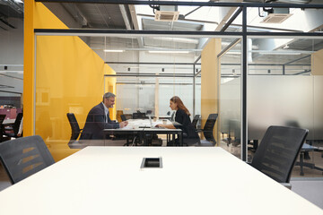 Fototapeta premium Female and male discussing work in the business center