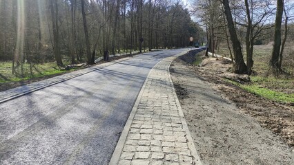 Budowa drogi przez park.