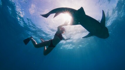 Woman free diving and snorkelling with the nurse shark, Ginglymostoma cirratum, in a tropical sea...
