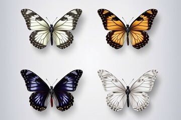 set of butterflies realistic Butterfly pack blank background  