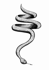 Obraz premium Poo shape snake ink illustration hand drawing 