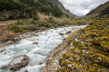 Ruisseau dans la vallée de Tarina, quinzième jour du Snowman Trek, Bhoutan