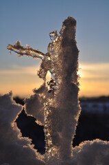 litte ice crystals in the sunset 