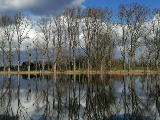 reflection on the water