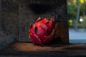 An edible dragon fruit, a tropical fruit low in calories and high in fiber and antioxidants, is...