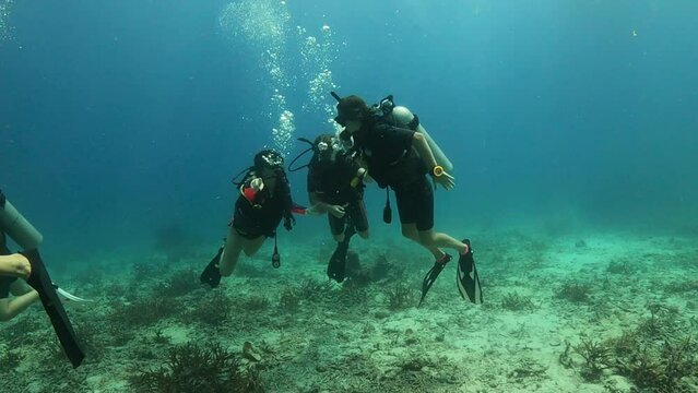 Under Water scuba film from Ko Tao island in southern Thailand - a group of few first time divers swimming over coral reef in shallow depth