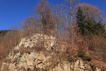 Blick auf die Naturlandschaft des Schwarzwaldes in der Nähe der Stadt Schönau