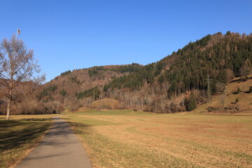 Blick auf die Naturlandschaft des Schwarzwaldes in der Nähe der Stadt Schönau
