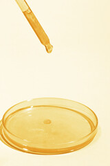 Pipette with dripping yellow liquid. Or liquid gold. On a Petri dish with yellow liquid. On a yellow background. Laboratory, chemistry, medicine. Cosmetic research. shine.