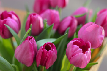 Pink tulips on natural background. Spring pink tulip flowers. Easter Mothers day or Valentine's day greeting card. Bunch of tulips. Birthday celebration concept. Tulip petals. Beautiful bouquet 