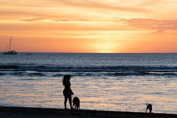 woman walking dogs on the beach at sunset