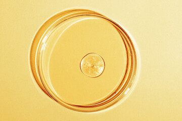 A large drop of liquid gold. Or liquid yellow with sparkles. In a Petri dish on a yellow background. Laboratory, chemistry, cosmetics research, glitter.