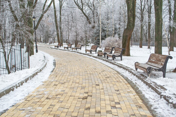 Empty benches on the alley in Mariinsky Park waiting for spring and visitors to the park