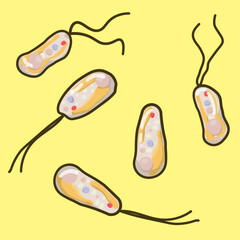 Isochrysis galbana is a nutrient-rich microalgae with high growth rate. Its photosynthesis process makes it a sustainable source of food, biofuels, and bioremediation solutions.