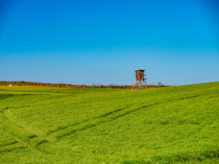 Hoch und Jägersitz