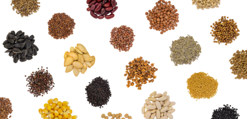 Different seeds isolate on white background. Selective focus. Nature.