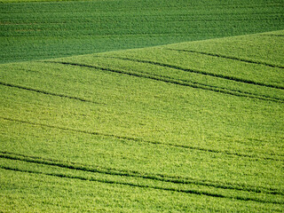Agrarlandschaft im Frühjahr