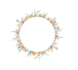 Watercolor wreath of branches and orange sea buckthorn berries. Decorative element for greeting card. Illustration