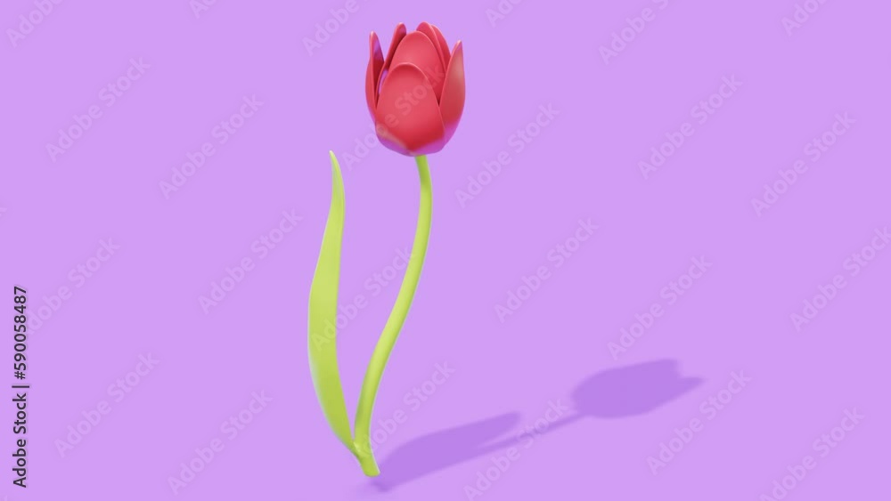 Aufkleber red tulip with green leaf. abstract loop animation
