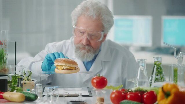 Elderly male researcher examines a sample of burger and write data. Biotechnologist analyzes the quality of the sample. Biology experiment in a research biolab. Eco products, GMO