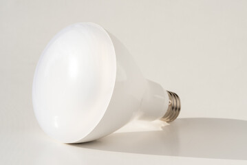 Flood LED Light Bulb