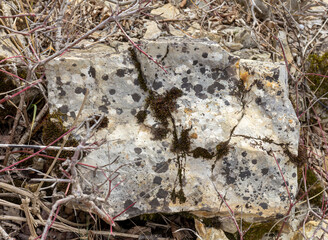 Natural stone walls are the entrance to a cave on a vertical rock of a mountain canyon.