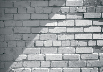 A Sun-Kissed White Brick Wall: A Unique Background for Your Next Photography Session