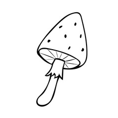 Hand-drawn mushroom. Vector illustration in the style of a doodle