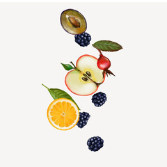 Fruits set on a white background. drawn by hand