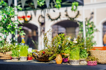 Fototapeta na wymiar Green grass in pots and trays in garden market