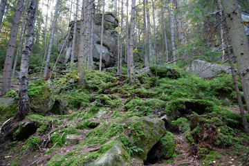 Dovbush Rocks in the forest near Yaremche city, Ukraine