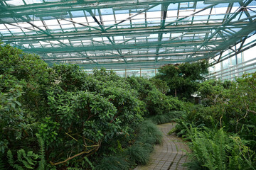 Cultivation and protection of plant species in hothouse listed in Red Book