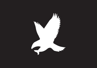 vector bird eagle pigeon design